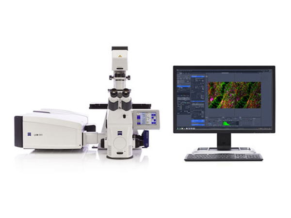 Laser scanning confocal microscope 