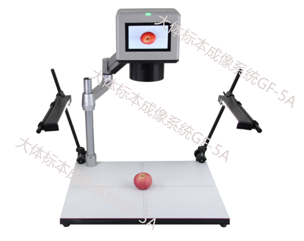 Gross specimen imaging system GF-5A