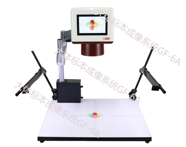 Gross specimen imaging system GF-6A