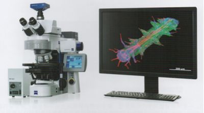 ApoTome . 2 使用普通荧光显微镜实现光学切片显微成像